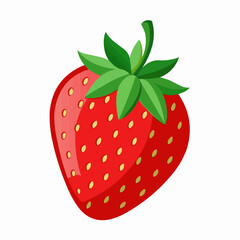 strawberry illustration