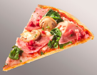Schinkenpizza, Pizzastück, isoliert, Italien, Champignon, 