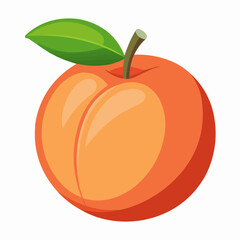 illustration of an peach fruit