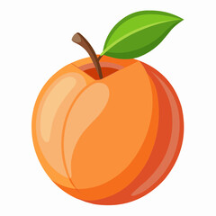 illustration of an peach fruit