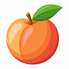 illustration of an peach fruit