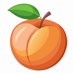 illustration of an peach fruit
