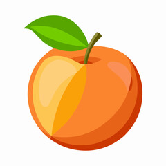 illustration of an peach fruit