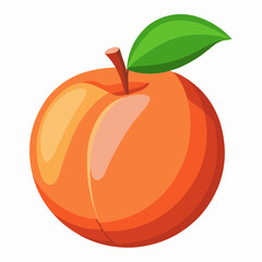 illustration of an peach fruit
