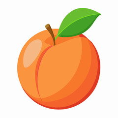 illustration of an peach fruit