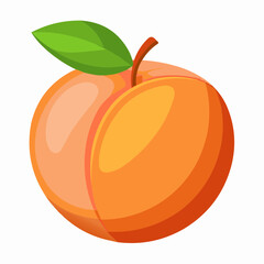 illustration of an peach fruit