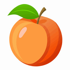 illustration of an peach fruit
