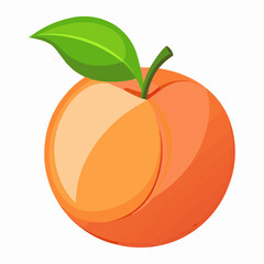 illustration of an peach fruit