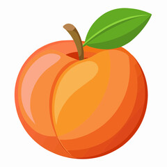 illustration of an peach fruit