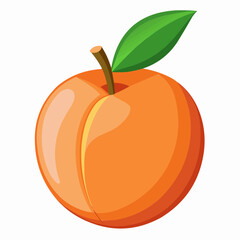 illustration of an peach fruit