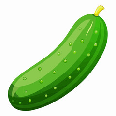 illustration of cucumber