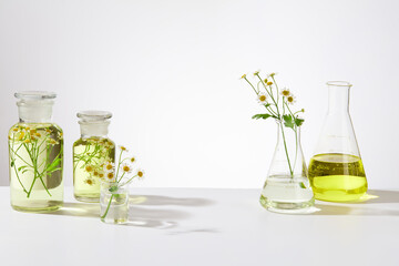Glass transparent lab equipment, erlenmeyer flask with yellow liquid and tanacetum parthenium...