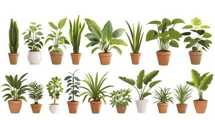 Transparent images of potted plants