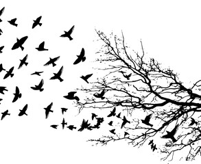 Tree and flying birds in the sky. hand drawing. Not AI, Vector illustration