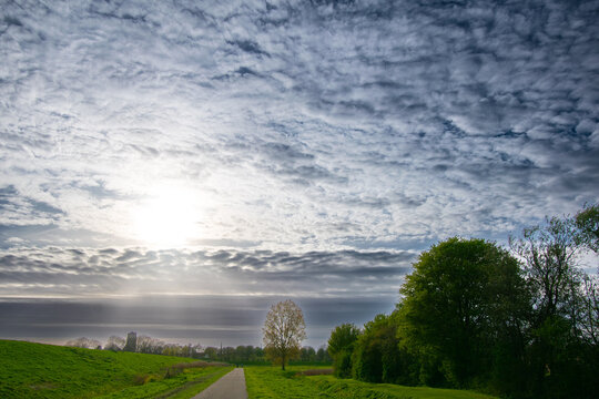 Spring is coming sunny day