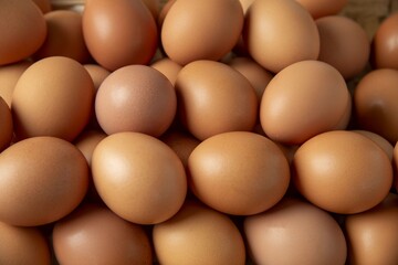 新鮮で美味しいたまご