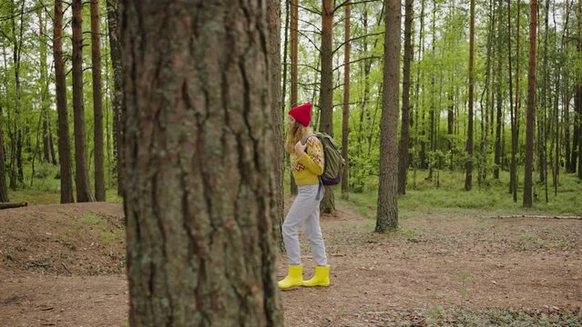 Female hiker walking in forest. Young teenage girl in yellow sweater go deep into pine thicket woods, looking around, enjoying views, memorizing natural area. Slow motion side view of woman backpacker