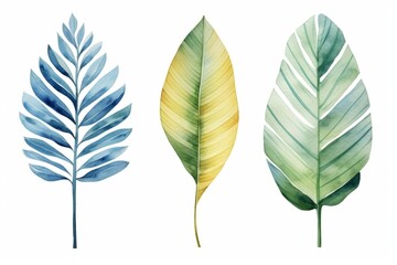 Watercolor tropical leaves on white background