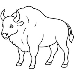 a bull colouring book white background -Vector illustration