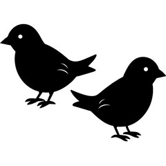 two bird on white background -vector illustration
