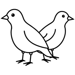 two birds colouring book white background -Vector illustration