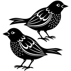 two bird on white background -vector illustration