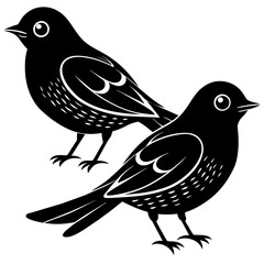two bird on white background -vector illustration