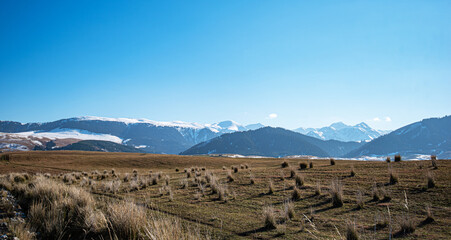 A dry grassland in the foreground with dry tufts of grass, leading to majestic snow-covered mountains under a clear blue sky with bright sunlight.