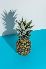 Creative composition with pineapple on blue background. Creative minimal summer concept.