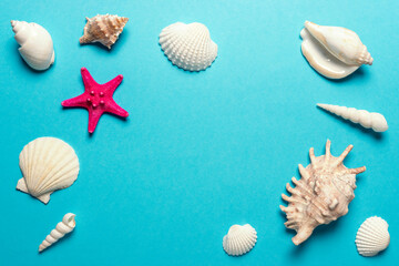 Creative seashells composition on blue background. Summer minimal concept.