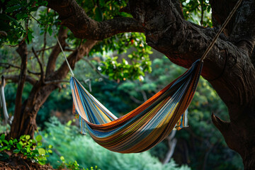 Colorful hammock hanging on green tree - obrazy, fototapety, plakaty