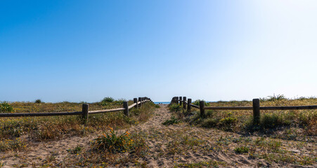 Sandy path flanked by wooden fences, leading through dune grasses towards a tranquil sea, under a vast, clear blue sky.