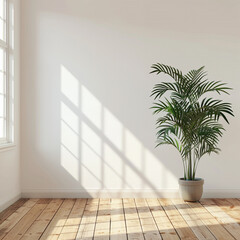 Fototapeta na wymiar empty room with white wall and wooden floor and a plant in the corner