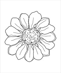 Contour vector clipart chamomile, peony, daisy on a transparent background. Coloring page, postcard, tattoo.