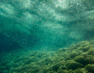 sea underwater scene background