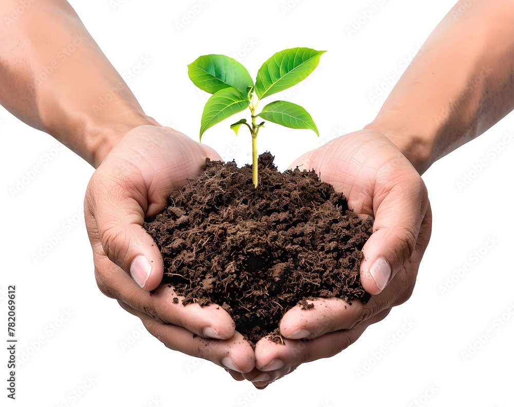 Sticker Hands holding a young plant in soil, symbolizing growth and care. Close-up, isolated on white, depicting nurturing, environmental conservation. Ideal for eco-friendly concepts. AI