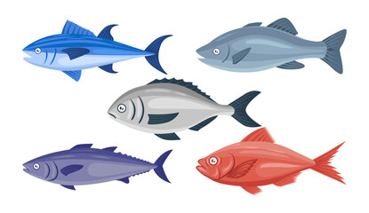 Fish illustration vector bundle. Fish vector cartoon set icon. Vector illustration icon fish food on white background. Fish illustration vector bundle