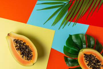 Creative tropical layout with papaya and palm tree leaves on colorful vivid paper. Minimal abstract summer concept. Flat lay.
