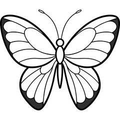     Butterfly vector illustration.
