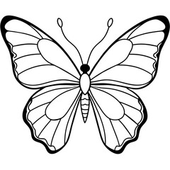     Butterfly vector illustration.
