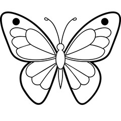     Butterfly vector illustration.
