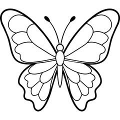     Butterfly vector illustration.
