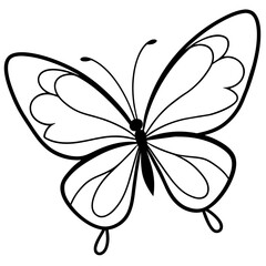     Butterfly vector illustration.
