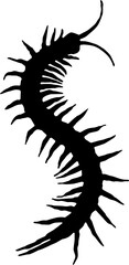 black and white tattoo
Silhouette of a centipede 