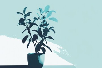 image of a potted plant on a white background