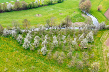 Aerial view of blooming cherry trees in Upper Franconia - Germany