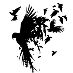 silhouette butterflies, silhouette bird, silhouette birds, silhouette peple, silhouette clipart, bird clipart, T shirt clipart, clipart svg, vector bird, vector butterfly, vector cliparts, woman, silh