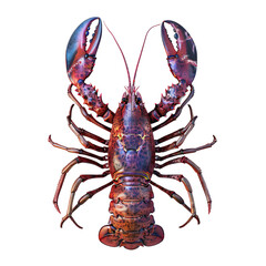 lobster, hyperrealistic, hyper detailed, isolated on transparent background