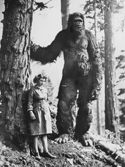 Old vintage aged mystery photograph of a lady standing with a giant bigfoot cryptid sasquatch creature in the forest
