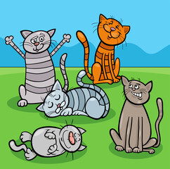 cuty cartoon cats and kittens animal characters - 782082242